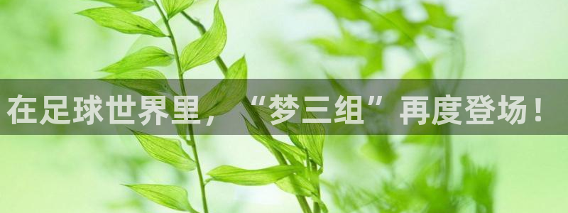 在足球世界里，“梦三组”再度登场！