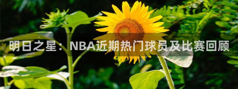 明日之星：NBA近期热门球员及比赛回顾