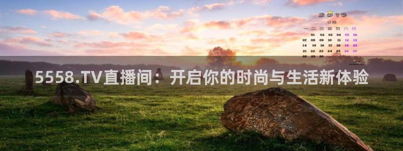 5558.TV直播间：开启你的时尚与生活新体验