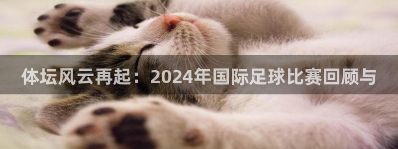 体坛风云再起：2024年国际足球比赛回顾与