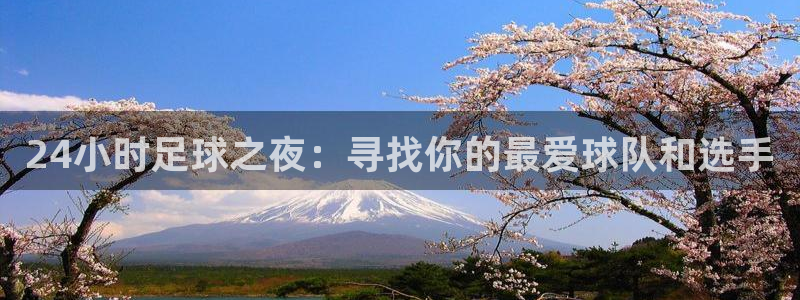 24小时足球之夜：寻找你的最爱球队和选手