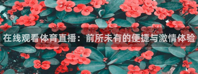 在线观看体育直播：前所未有的便捷与激情体验