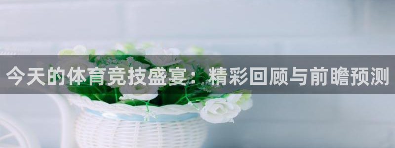 今天的体育竞技盛宴：精彩回顾与前瞻预测
