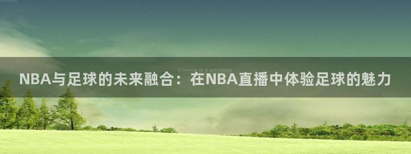 NBA与足球的未来融合：在NBA直播中体验足球的魅力
