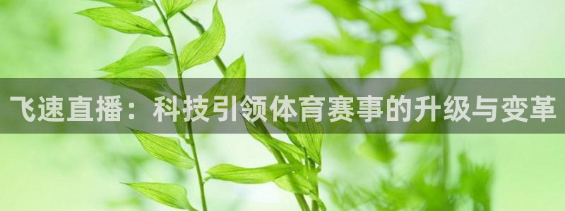 飞速直播：科技引领体育赛事的升级与变革