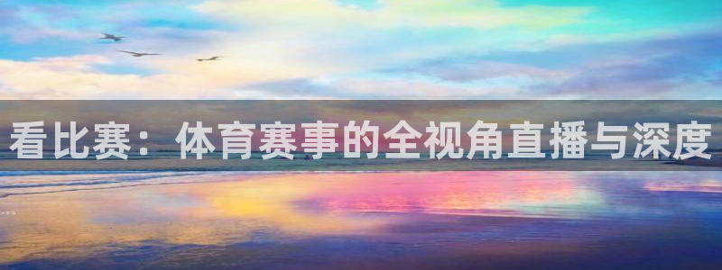看比赛：体育赛事的全视角直播与深度