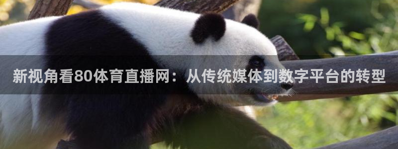 新视角看80体育直播网：从传统媒体到数字平台的转型