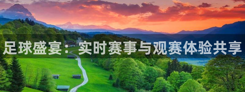 足球盛宴：实时赛事与观赛体验共享