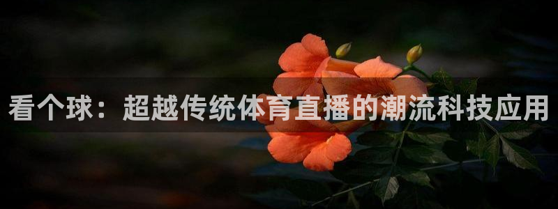 看个球：超越传统体育直播的潮流科技应用
