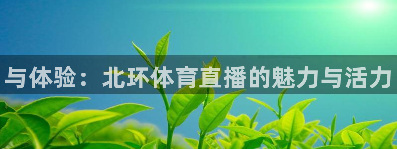与体验：北环体育直播的魅力与活力