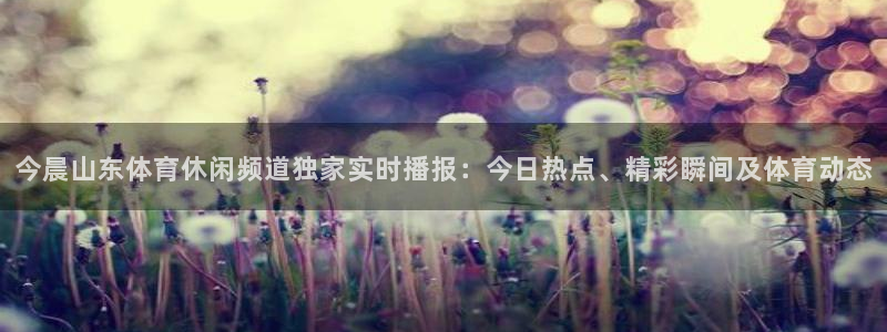 今晨山东体育休闲频道独家实时播报：今日热点、精彩瞬间及体育动态