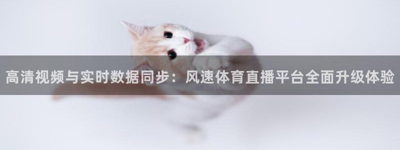高清视频与实时数据同步：风速体育直播平台全面升级体验