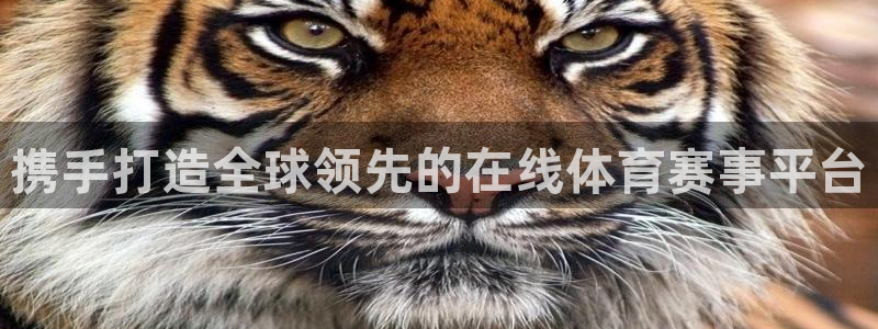 携手打造全球领先的在线体育赛事平台