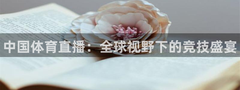 中国体育直播：全球视野下的竞技盛宴