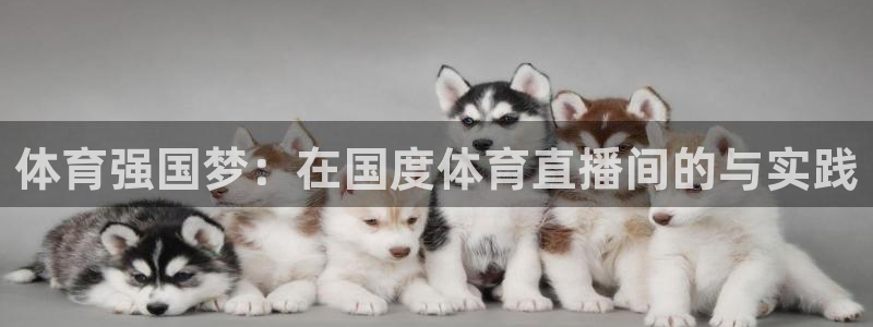体育强国梦：在国度体育直播间的与实践