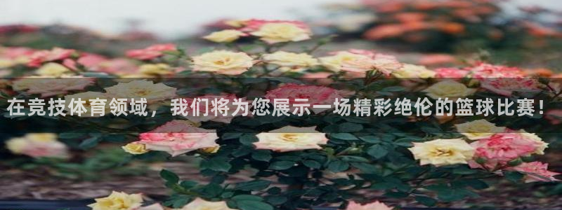 在竞技体育领域，我们将为您展示一场精彩绝伦的篮球比赛！