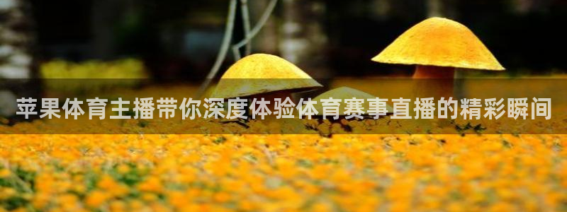 苹果体育主播带你深度体验体育赛事直播的精彩瞬间