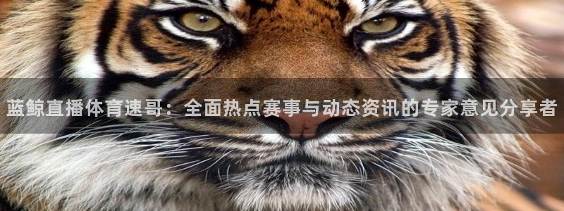 蓝鲸直播体育速哥：全面热点赛事与动态资讯的专家意见分享者