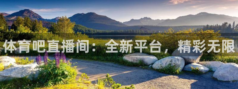 体育吧直播间：全新平台，精彩无限