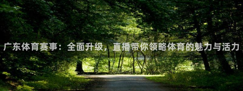 广东体育赛事：全面升级，直播带你领略体育的魅力与活力