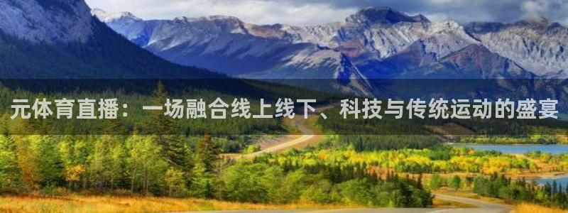 元体育直播：一场融合线上线下、科技与传统运动的盛宴