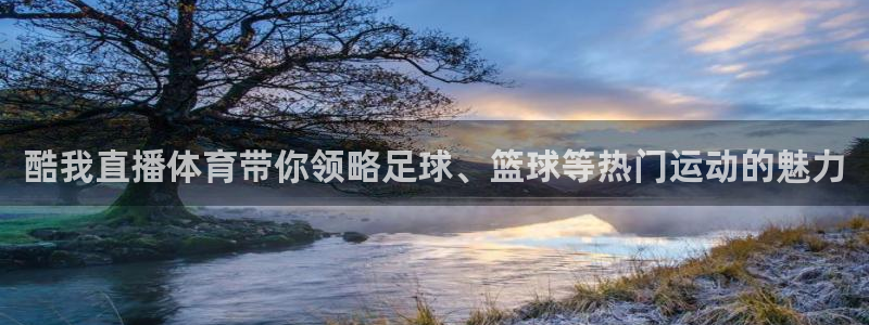 酷我直播体育带你领略足球、篮球等热门运动的魅力