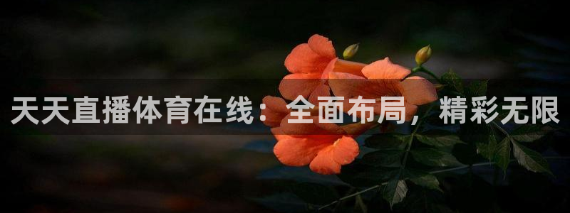 天天直播体育在线：全面布局，精彩无限