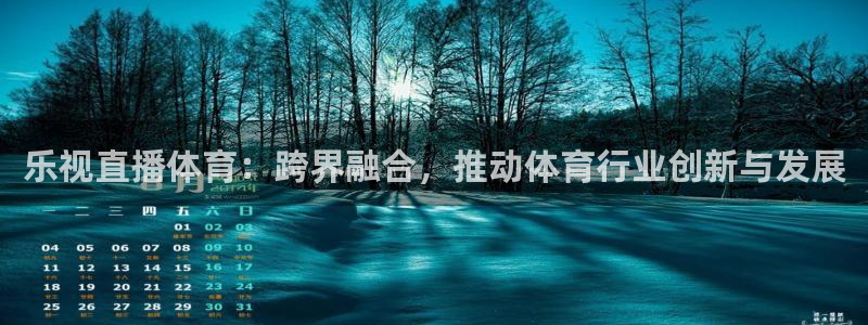 乐视直播体育：跨界融合，推动体育行业创新与发展