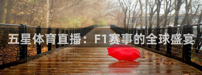 五星体育直播：F1赛事的全球盛宴