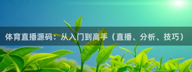 体育直播源码：从入门到高手（直播、分析、技巧）