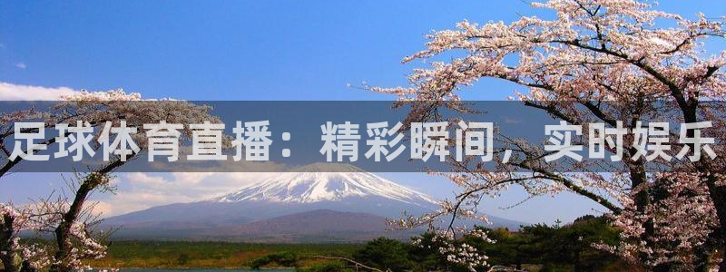 足球体育直播：精彩瞬间，实时娱乐