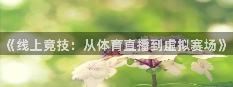 《线上竞技：从体育直播到虚拟赛场》