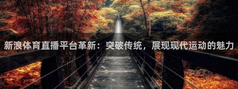 新浪体育直播平台革新：突破传统，展现现代运动的魅力