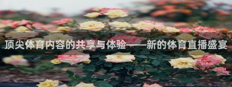 顶尖体育内容的共享与体验——新的体育直播盛宴