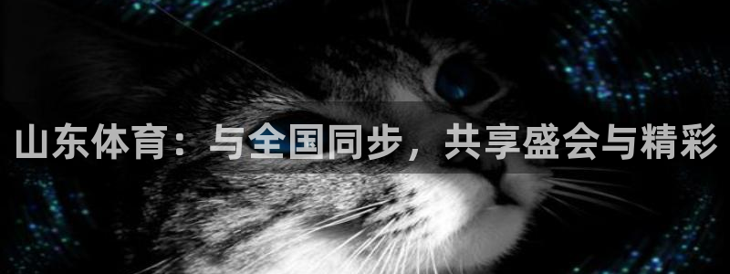 山东体育：与全国同步，共享盛会与精彩