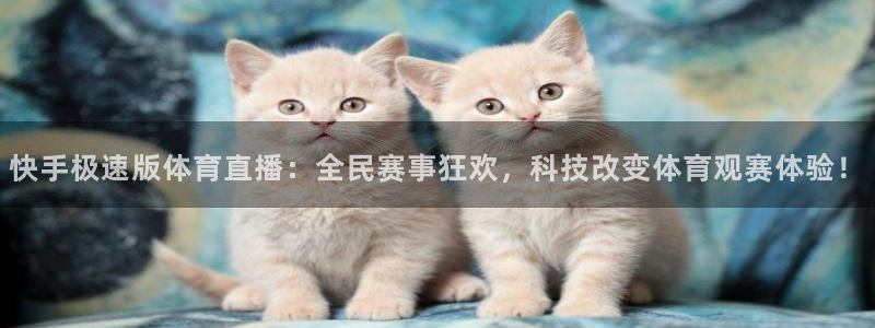 快手极速版体育直播：全民赛事狂欢，科技改变体育观赛体验！