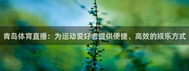 青岛体育直播：为运动爱好者提供便捷、高效的娱乐方式