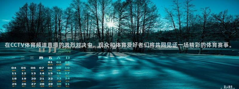 在CCTV体育频道直播的激烈对决中，观众和体育爱好者们将共同见证一场精彩的体育赛事。