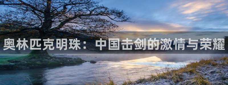 奥林匹克明珠：中国击剑的激情与荣耀