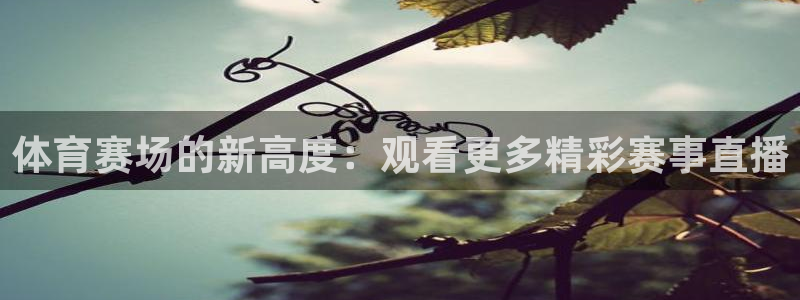 体育赛场的新高度：观看更多精彩赛事直播