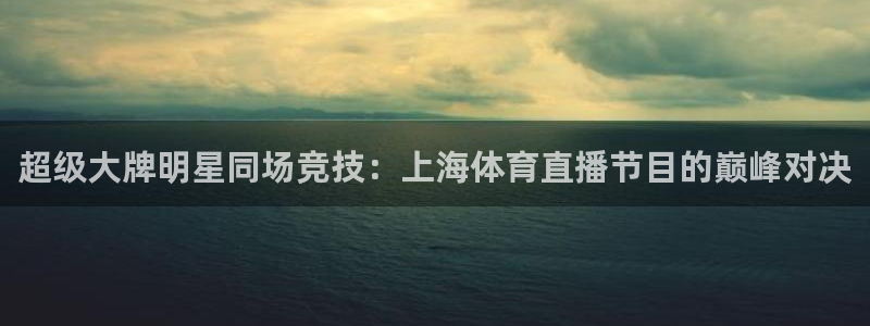 超级大牌明星同场竞技：上海体育直播节目的巅峰对决