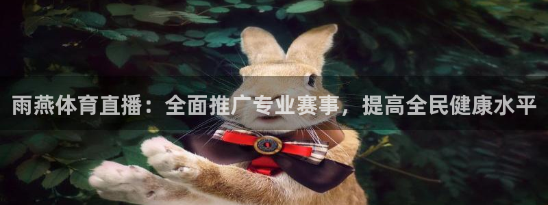 雨燕体育直播：全面推广专业赛事，提高全民健康水平