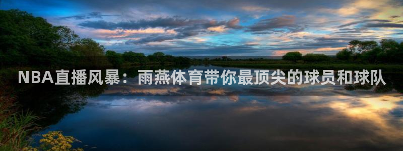 NBA直播风暴：雨燕体育带你最顶尖的球员和球队