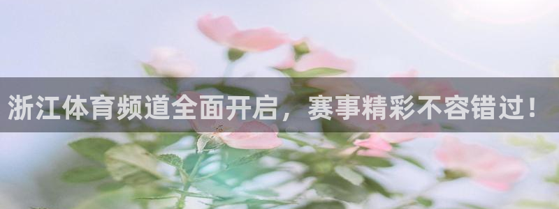 浙江体育频道全面开启，赛事精彩不容错过！