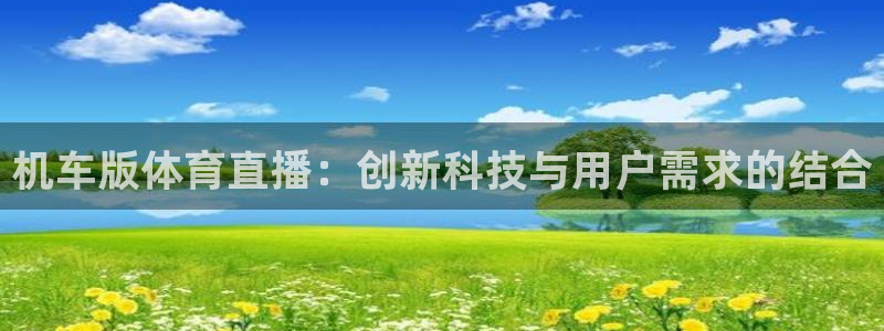机车版体育直播：创新科技与用户需求的结合