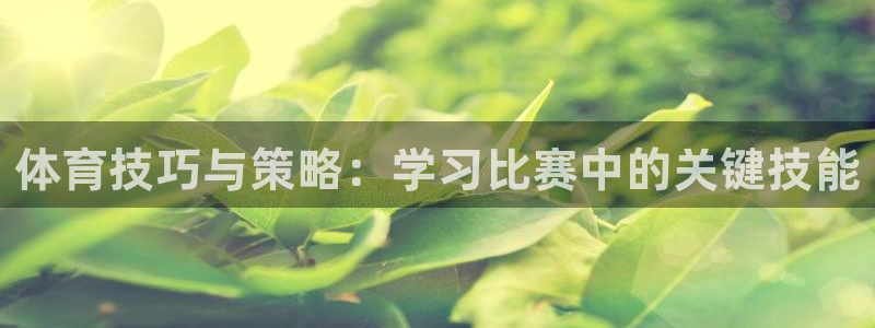 体育技巧与策略：学习比赛中的关键技能