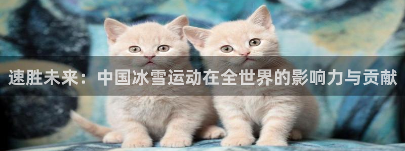 速胜未来：中国冰雪运动在全世界的影响力与贡献