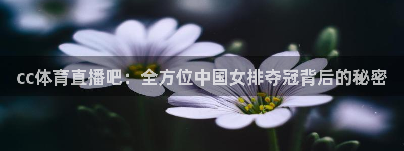 cc体育直播吧：全方位中国女排夺冠背后的秘密