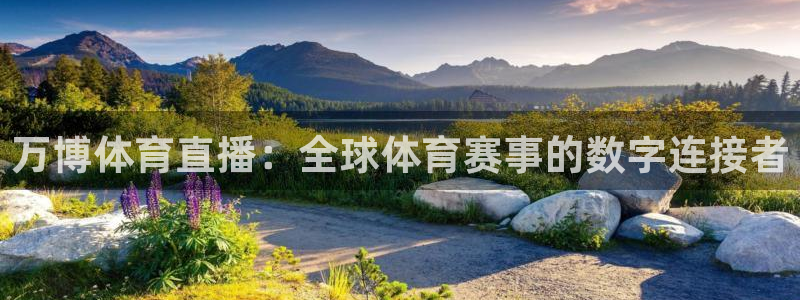 万博体育直播：全球体育赛事的数字连接者