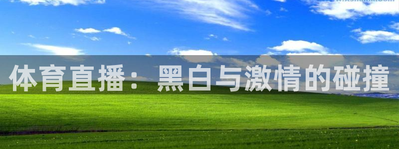 体育直播：黑白与激情的碰撞